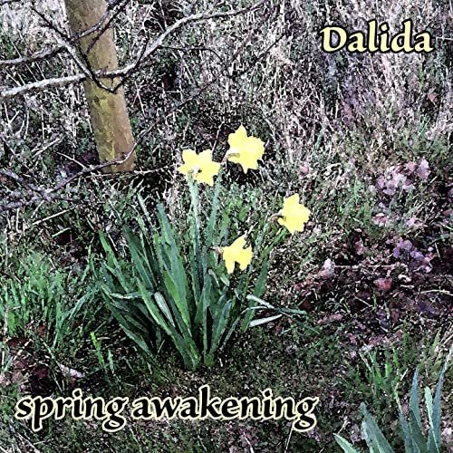 Dalida - Spring Awakening (2020)