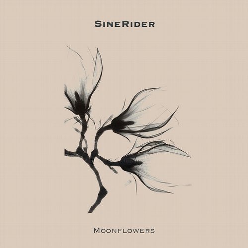 Sinerider - Moonflowers (2020)