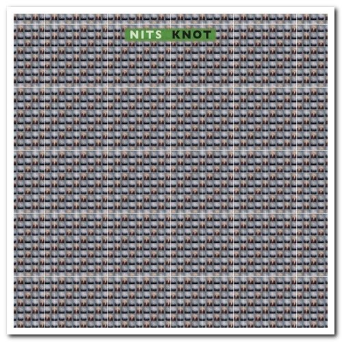 Nits - Knot (2019) [CD Rip]