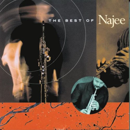 Najee - The Best Of Najee (1998) flac