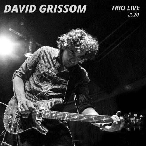 David Grissom - Trio (Live) 2020 (2020)