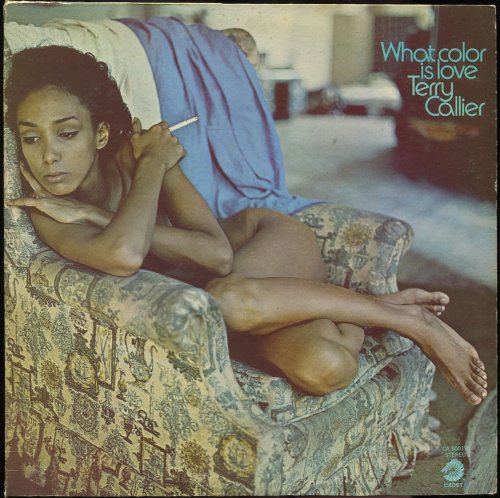 Terry Callier - What Color Is Love (1972) [24bit FLAC]