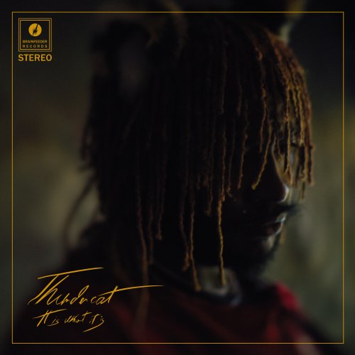 Thundercat - It Is What It Is (2020) [24-192 FLAC]