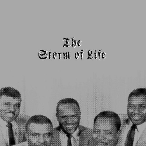 Various Artists - The Storm of Life (2020)