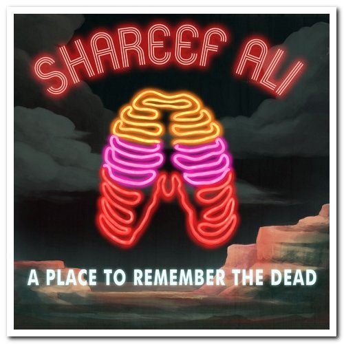 Amina Shareef Ali - A Place to Remember the Dead (2014)