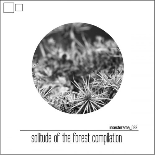 VA - Solitude Of The Forest Compilation (2020)