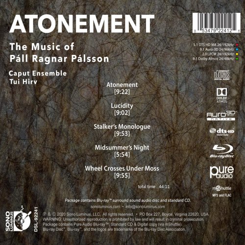 Tui Hirv, Caput Ensemble & Guðni Franzson - Atonement (2020) [DSD & Hi-Res]