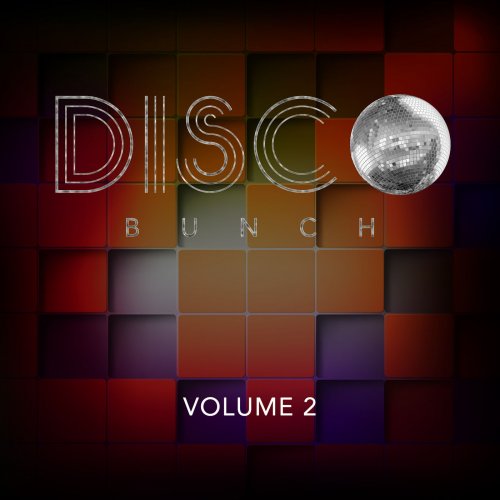 Disco Bunch, Vol. 2 (2014)