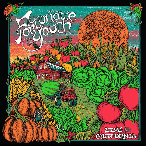Fortunate Youth - Live From California (2020)