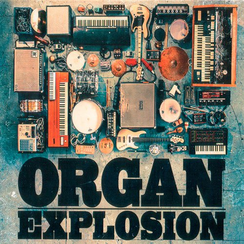 Organ Explosion - Organ Explosion (2014) FLAC