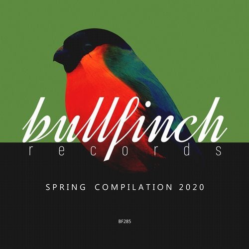 VA - Bullfinch Spring 2020 Compilation (2020)