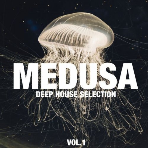 VA - Medusa, Vol. 1 (Deep House Selection) (2020) flac