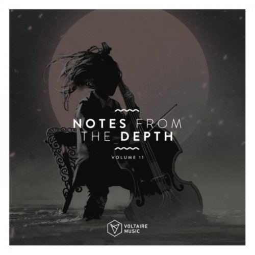 VA - Notes From The Depth Vol. 11 (2020)