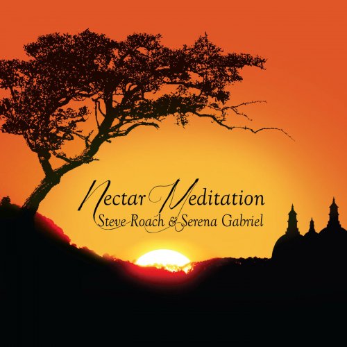 Steve Roach - Nectar Meditation (2020) [Hi-Res]