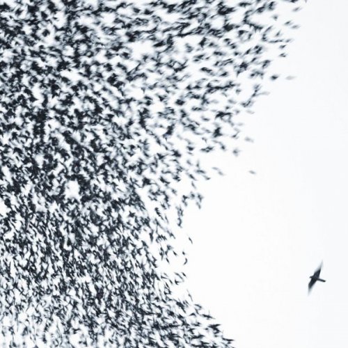 Wilco - Sky Blue Sky (Édition StudioMasters) (2013) [Hi-Res]