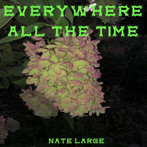 Nate Large - EVERYWHERE ALL THE TIME (2020)