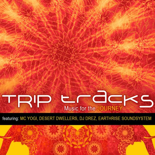 VA - Trip Tracks: Music for the Journey (2020) flac