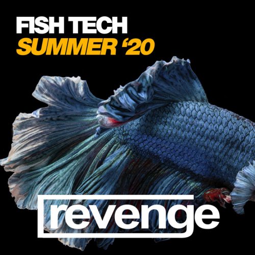 VA - Fish Tech Summer '20 (2020) flac