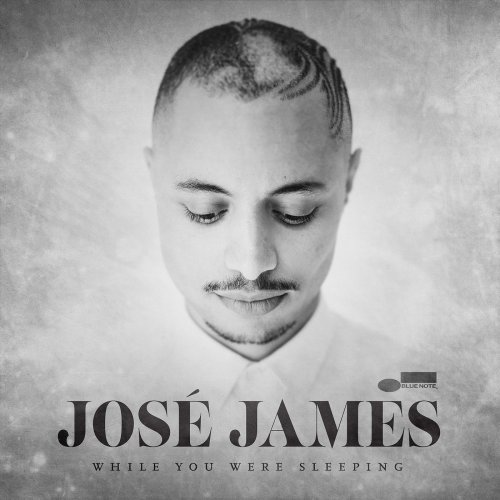 José James - While You Were Sleeping (2014)