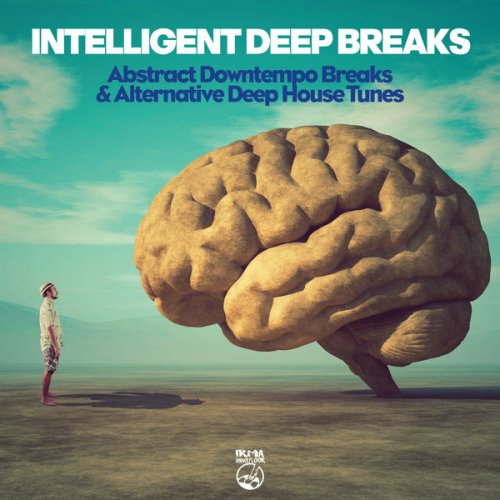 VA - Intelligent Deep Breaks (2020) flac