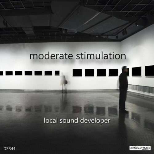 Local Sound Developer - Moderate Stimulation (2020)