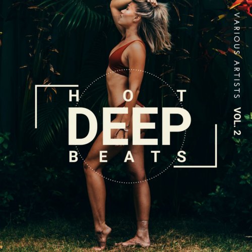 VA - Hot Deep Beats Vol. 2 (2020) flac