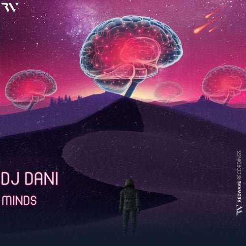 DJ Dani - Minds (2020)