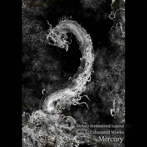 Mehata Sentimental Legend - Exhausted Woeks - Mercury (2020)