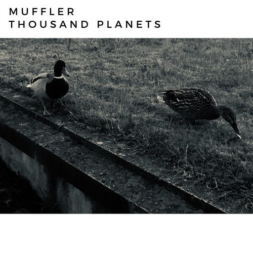 Muffler - Thousand Planets (2020)