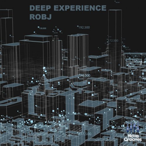 Robj - Deep Experience (2020)