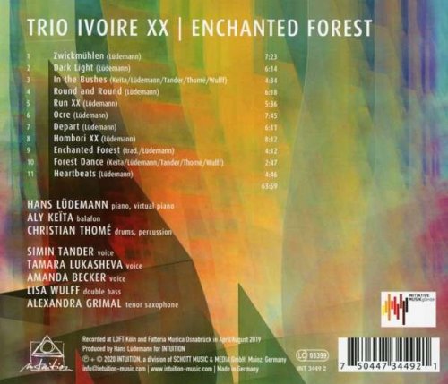 Hans Lüdemann TRIO IVOIRE XX - Enchanted Forest (2020)