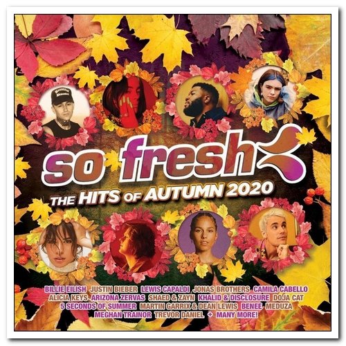 VA - So Fresh: The Hits Of Autumn 2020 (2020)
