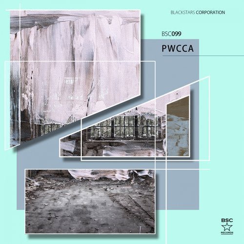 PWCCA - BSC 0.99 (2020)
