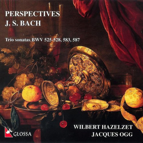 Wilbert Hazelzet - Perspectives (2020)