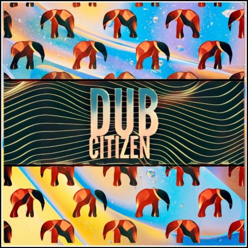Dub Citizen - Zero Gravity (2020)