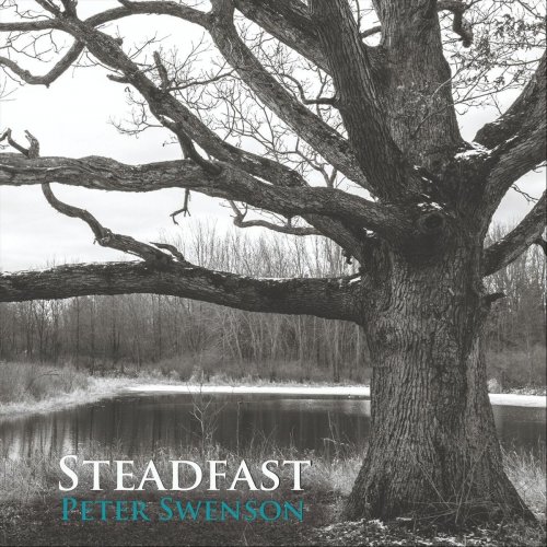 Peter Swenson - Steadfast (2020)