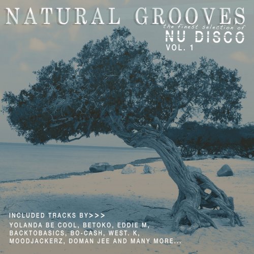 Natural Grooves - The Finest Selection of Nu Disco, Vol. 1 (2015)