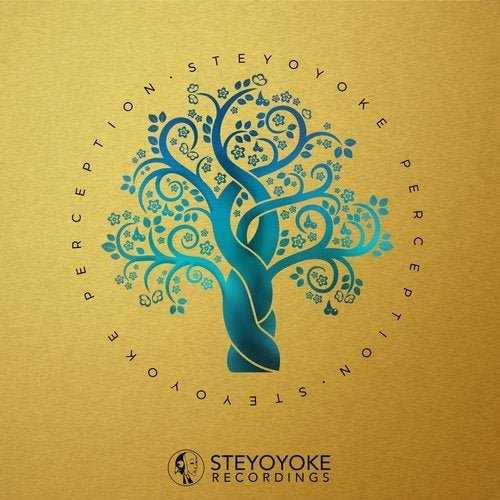 VA - Steyoyoke Perception, Vol. 7 (2020)