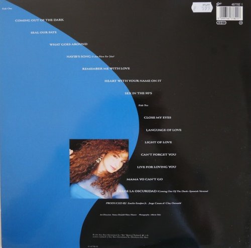 Gloria Estefan - Into The Light (1991) LP
