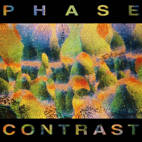 VA - Phase Contrast (2020)