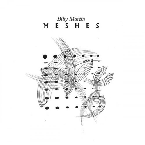 Billy Martin - Meshes (2020) [Hi-Res]