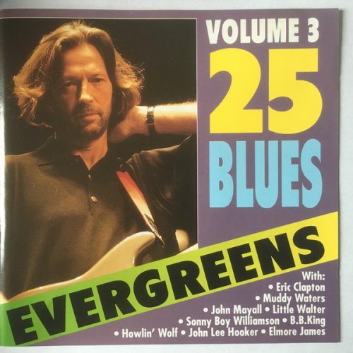 VA - 25 Blues Evergreens Volume 3 (1991)