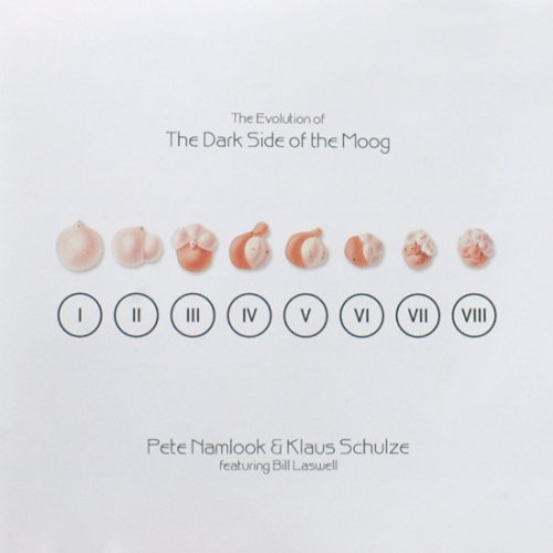 Klaus Schulze & Pete Namlook - The Evolution Of The Dark Side Of The Moog (2002)
