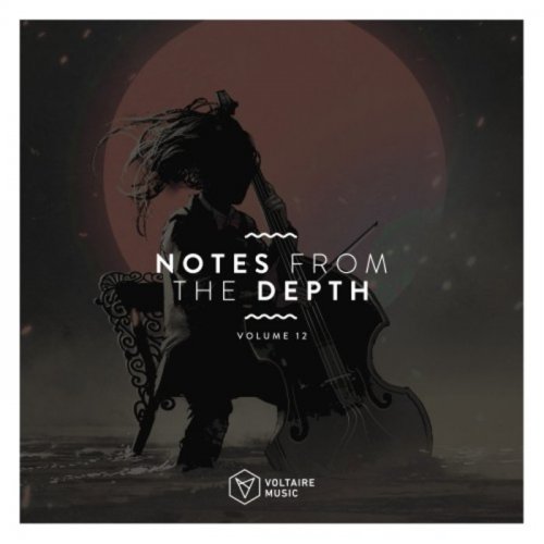 VA - Notes from the Depth, Vol. 12 (2020)