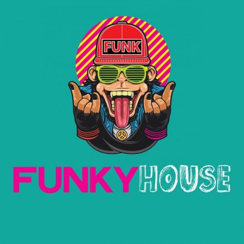 VA - Funky House (2020) [Hi-Res]