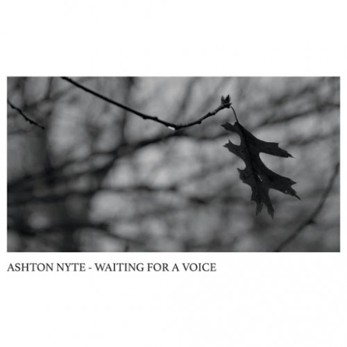 Ashton Nyte - Waiting for a Voice (2020)