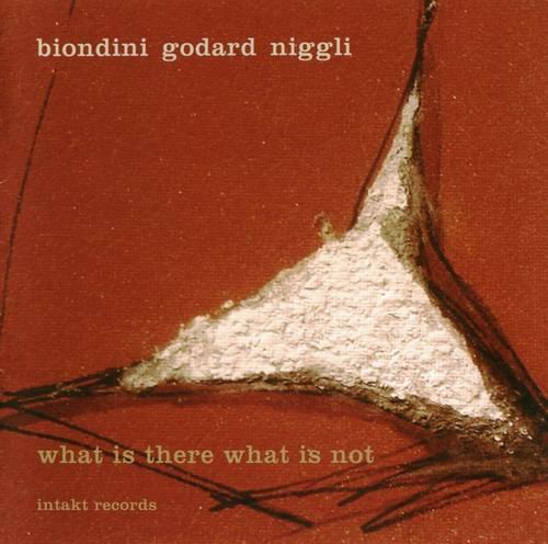 Luciano Biondini - What Is There What Is Not (2011)