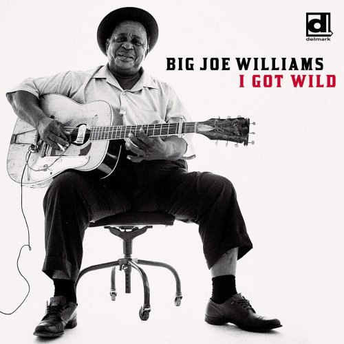 Big Joe Williams - I Got Wild (2003)
