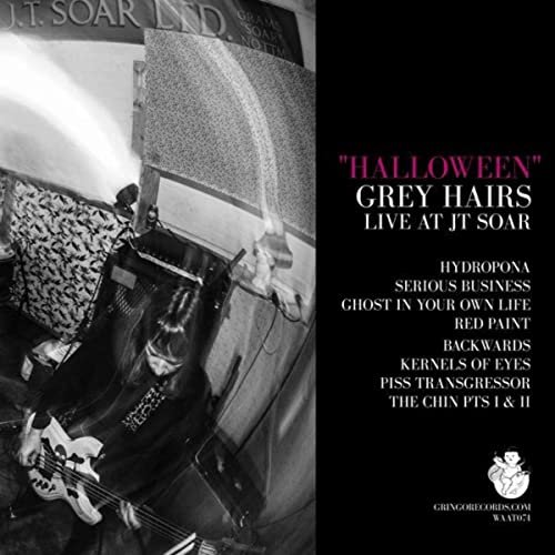 Grey Hairs - "Halloween" - Live at JT Soar (2020) Hi Res