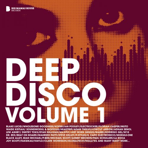 Deep Disco Volume 1 (2014)